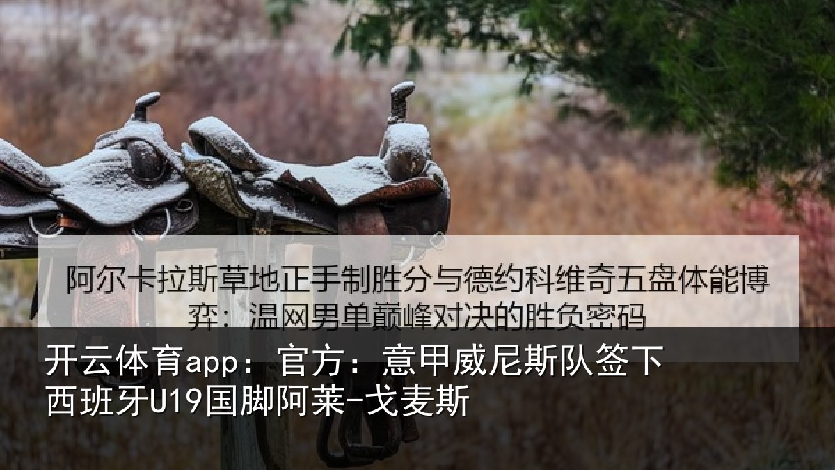 开云体育app:官方:意甲威尼斯队签相关情况-戈麦斯