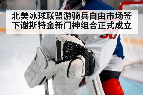 北美冰球联盟游骑兵自由市场签下谢斯特金新门神组合正式成立